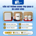 thong-tin-coc-su-trang-dang-tru-in-logo-VMO