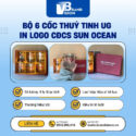 bo-6-coc-thuy-tinh-ug-in-logo-cdcs-sun-ocean-dang-tru-dung-tich-245ml-ltt-80-1