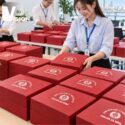 Bộ giftset cốc sứ và hộp đựng cơm