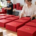 Bộ phin cafe men kem vẽ cá
